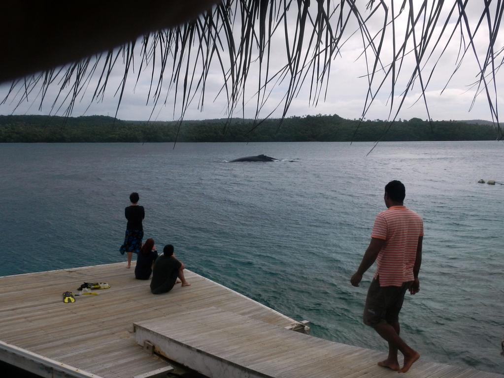 Tongan Beach Resort Utungake エクステリア 写真